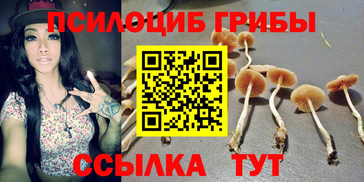 Галлюциногенные грибы Psilocybine cubensis Пугачёв