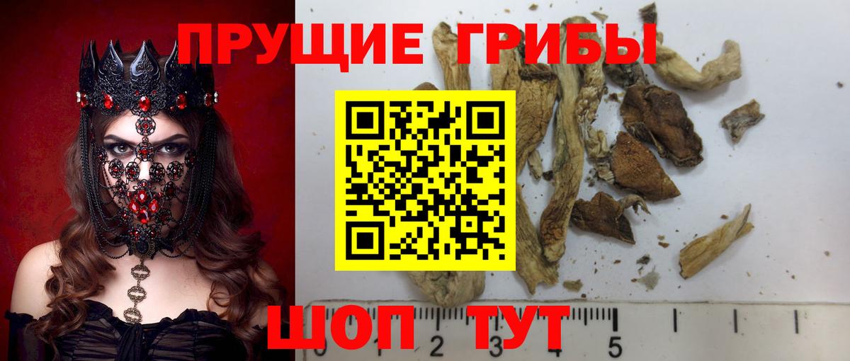 Мефедрон кристаллы  COCAIN  Вход с VPN  ГАШ  Конопля  MDMA  Каннабис  Пугачёв  АМФЕТАМИН  