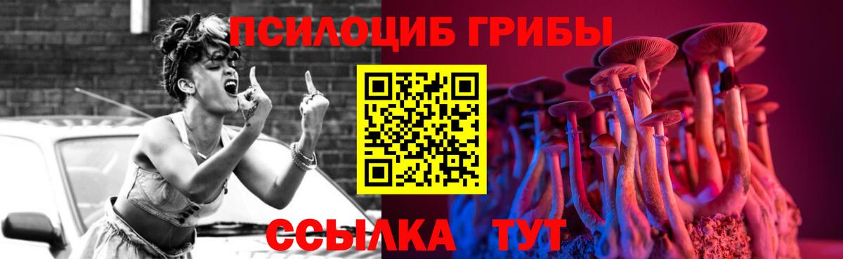 Пугачёв  Псилоцибиновые грибы MAGIC MUSHROOMS  Вход с VPN 
